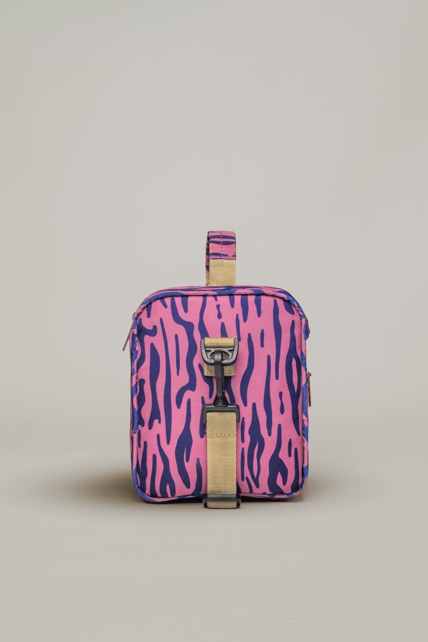 Vibrant Zebra